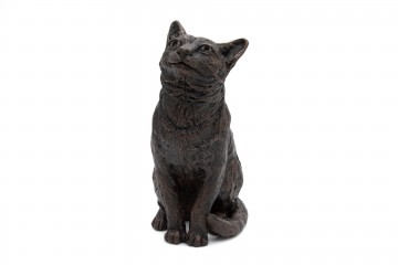 Caring cat 01