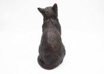 Caring cat 04