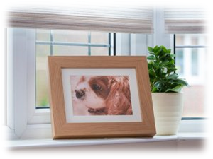 Fotolijst met urn micro 0,25 liter