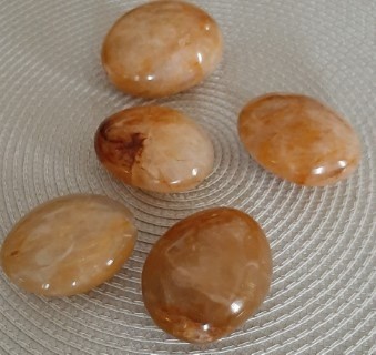 Golden healer mat miniatuur