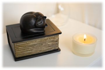 Kat op boek sfeerfoto rand miniatuur