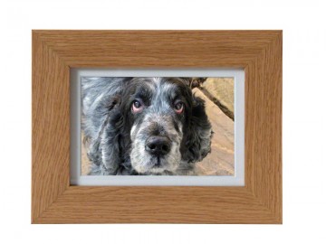 Fotolijst urn micro 0,25 liter