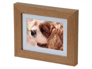 Fotolijst, wit, walnoot, eik en tin