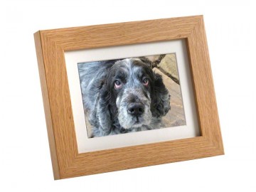 Fotolijst urn mini 0,55 liter