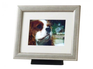 Fotolijst met urn in standaard 1,1 liter