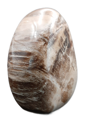 Versteend hout Mini Urn