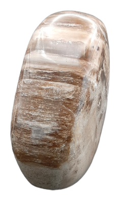 As-aandenken versteend hout